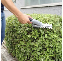 Eine Person schneidet eine Hecke mit einer Akku-Heckenschere
