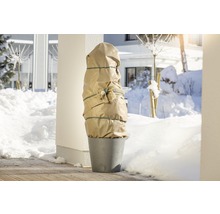 Plante en pot avec protection hivernale sur fond enneigé