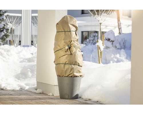 Plante en pot avec protection hivernale sur fond enneigé