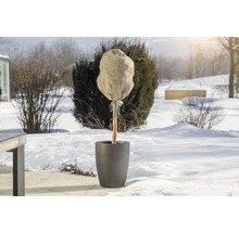Arbre planté avec protection hivernale dans la neige
