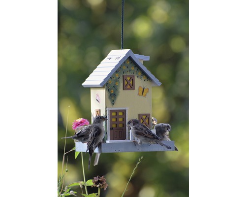 Vogelhaus im Hausdesign mit mehreren Spatzen