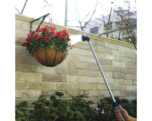 Bewässerung einer Hängepflanze mit einem Sprühgerät