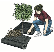 Illustration einer Person, die ein Unkrautvlies um einen Baum legt, mit einer Rolle des Vlieses und einem Haufen Steine