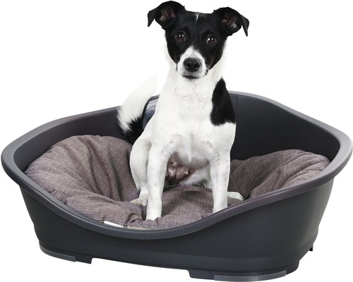 Chien assis dans un lit pour chien en plastique gris avec coussin.