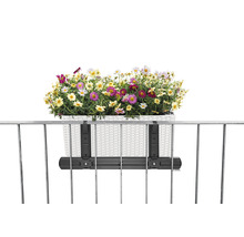 Blumenkasten mit Halterung an einem Geländer, gefüllt mit bunten Margeriten