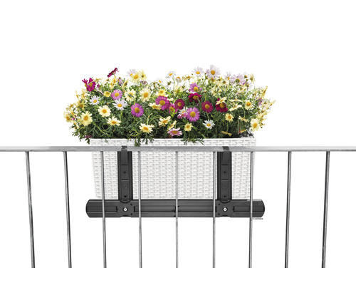 Jardinière avec support sur une rambarde, remplie de marguerites colorées