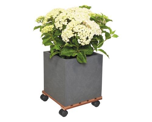Pot de fleurs carré avec hortensia sur roulettes pour plantes