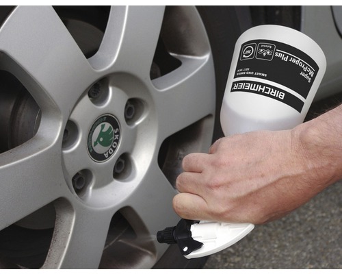 Eine Person reinigt eine Skoda-Felge mit einem Birchmeier Super McProper Plus Reiniger.