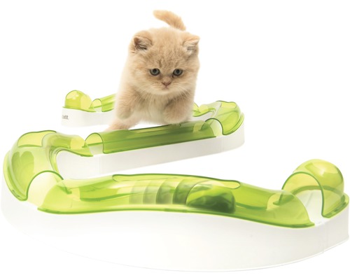 Katze spielt mit Katzenspielzeug