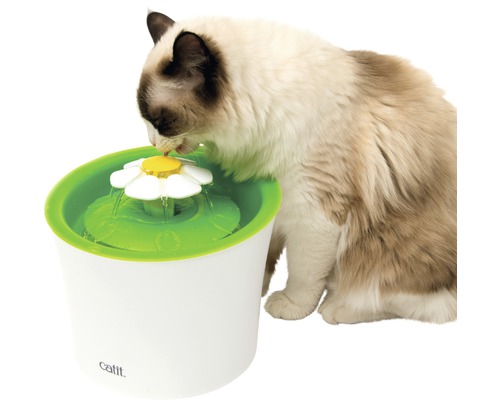 Chat buvant dans une fontaine à eau avec embout en forme de fleur