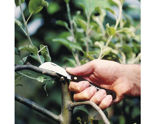 Eine Hand benutzt ein Fiskars Okuliermesser, um einen Ast zu schneiden.