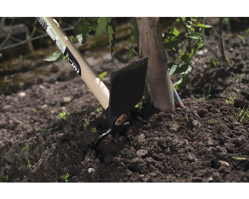 Outil de jardinage avec manche en bois pour travailler la terre dans le jardin