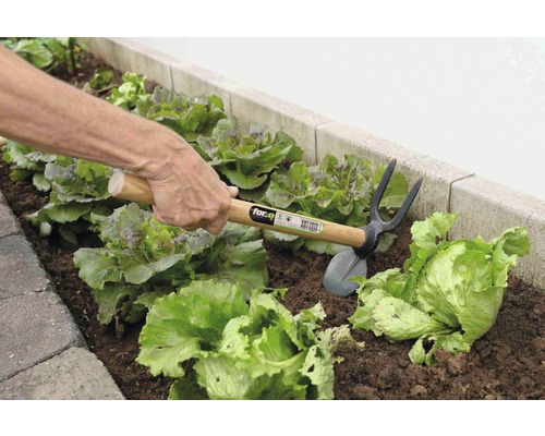 Personne travaillant avec une houe combinée dans le potager.