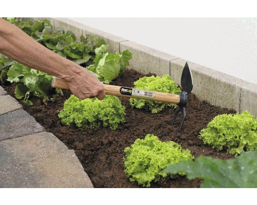 Une personne travaille avec une houe combinée dans un potager.