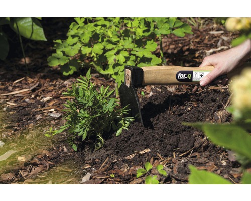 Houe de jardin avec manche en bois utilisée pour planter dans la terre