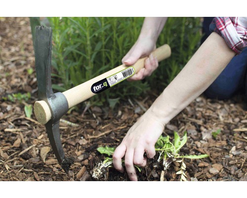 Une personne enlève des mauvaises herbes avec une pioche de la marque for.q