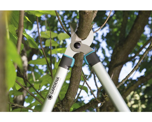 Gartenschere beim Schneiden eines Astes im Garten