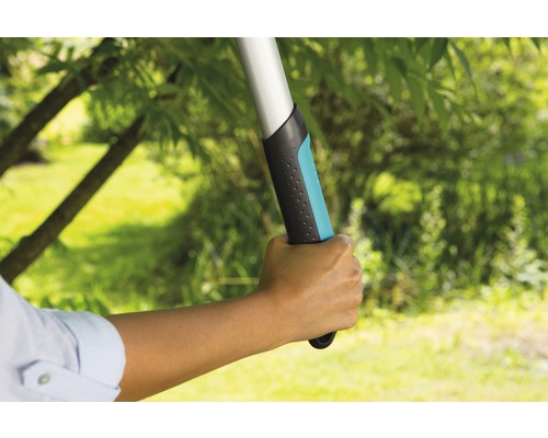 Hand hält Gartenschere mit Teleskopstiel