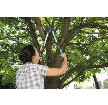 Frau schneidet Baum mit einer Astschere