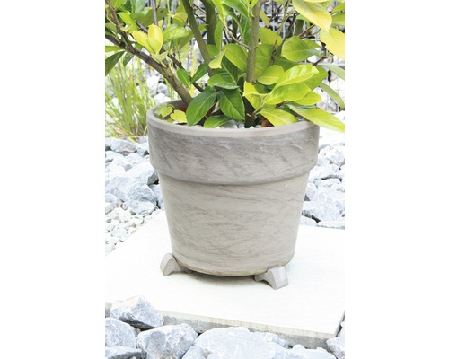 Blumentopf mit Pflanze auf Füssen im Aussenbereich