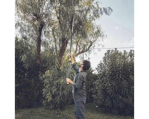 Une personne utilise un ébrancheur télescopique dans le jardin pour couper les branches d''un arbre.