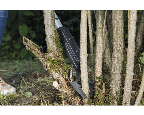 Astschere in Verwendung zum Beschneiden eines Baumes