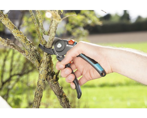 Gartenschere im Einsatz zum Schneiden eines Astes