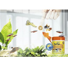 Aquarium mit Fischen und Tetra FunTips Tablets Fischfutter