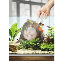 Aquarium mit Fischen, Pflanzen und Kind im Hintergrund