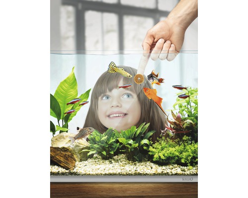 Aquarium mit Fischen, Pflanzen und Kind im Hintergrund