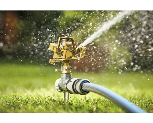 Arroseur de pelouse avec tuyau d''arrosage en marche