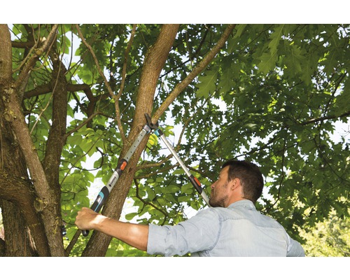 Mann schneidet Baumäste mit einer Astschere