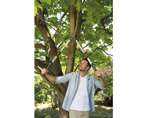 Mann schneidet Baumäste mit einer Astschere im Garten