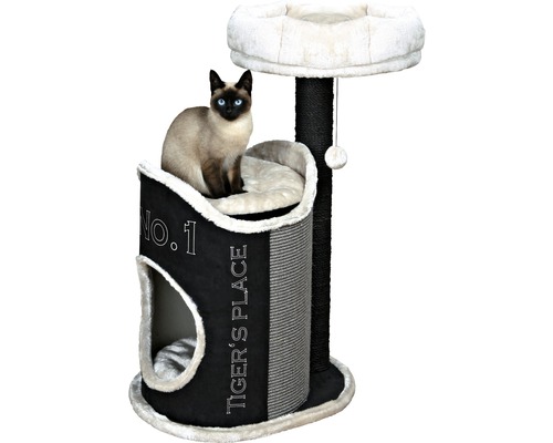 Chat sur un arbre à chat avec niche et plateformes