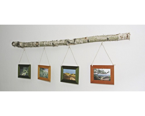 Galerie de photos décorative avec tronc de bouleau et quatre cadres photo