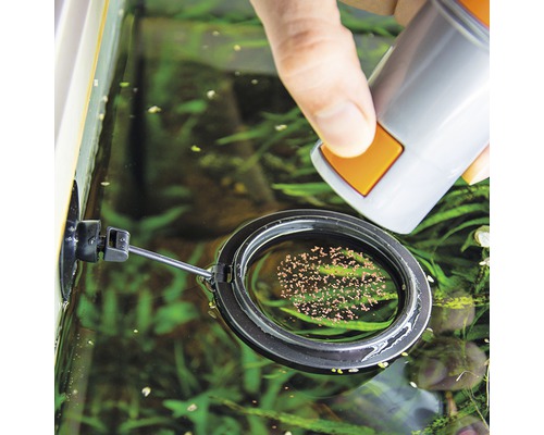 Futterring für Aquarien mit Dosierer im Einsatz