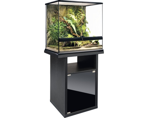 Terrarium avec meuble bas pour reptiles et amphibiens