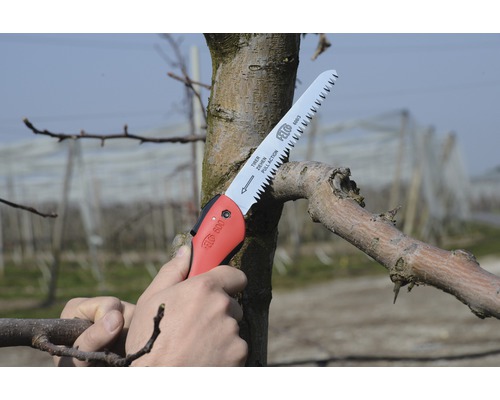Gartenarbeitsszene mit Astschere beim Schneiden eines Astes