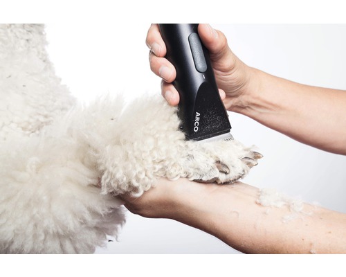 Une personne utilise une tondeuse électrique pour couper les poils d''un chien