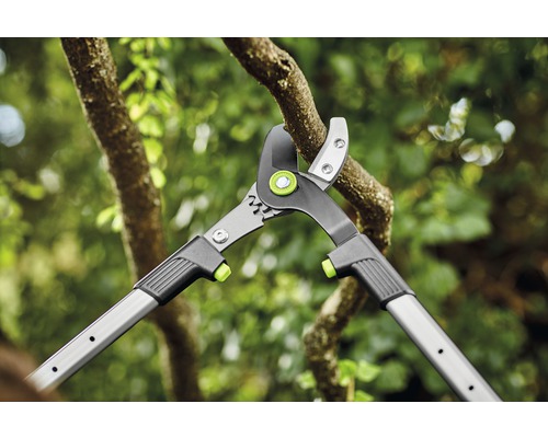 Astschere im Einsatz zum Schneiden eines Astes