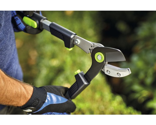 Bedienung einer Teleskop-Astschere zum Beschneiden von Ästen