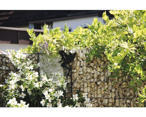 Gabionenwand mit Bepflanzung und einer Frosch-Gartenstecker Dekoration