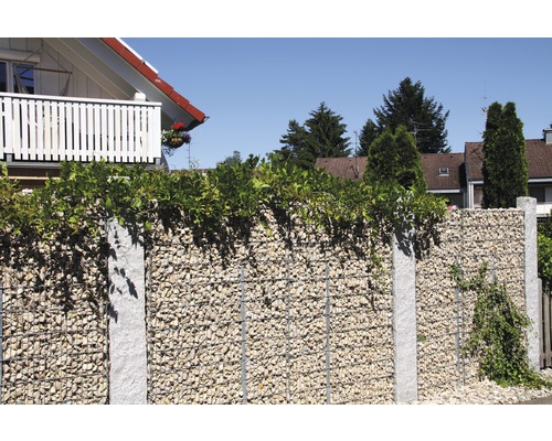 Gabionenzaun mit Steinen und Begrünung als Grundstücksbegrenzung