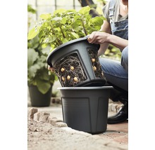 Pflanztopf Kartoffel elho Green Basics Kunststoff 32x32x26 cm schwarz