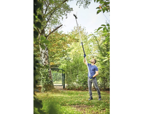 Un homme utilise un ébrancheur dans le jardin pour couper les branches d''un arbre.