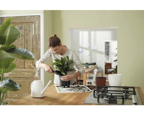 Femme rempote une plante d''intérieur dans un pot avec une pelle de jardin