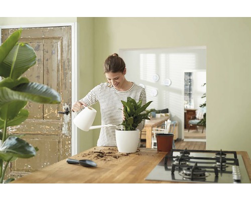 Femme arrosant une plante d''intérieur avec un arrosoir dans la cuisine