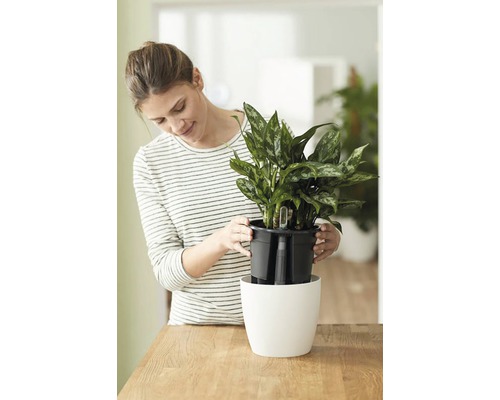 Femme plaçant une plante d''intérieur dans un pot blanc avec système d''irrigation.
