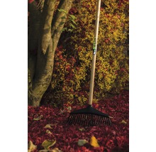 Laubbesen mit Holzstiel auf herbstlichem Laub