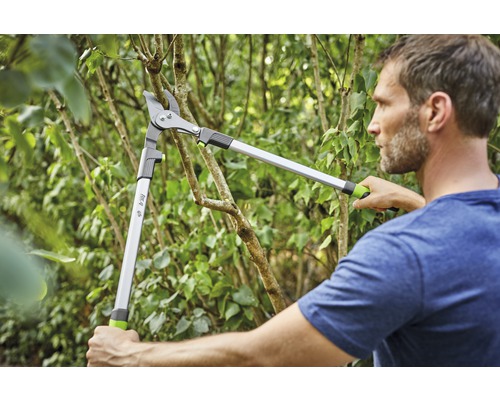 Mann schneidet mit einer Astschere einen Baum.